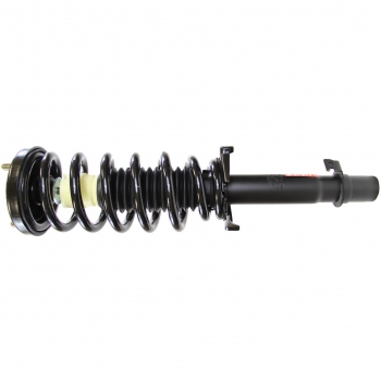 Suspension Strut and Coil Spring Assembly