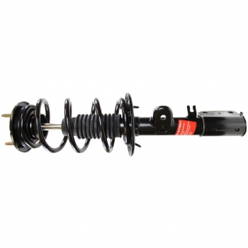 Suspension Strut and Coil Spring Assembly