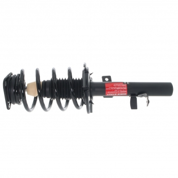 Suspension Strut and Coil Spring Assembly