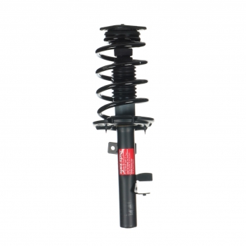 Suspension Strut and Coil Spring Assembly