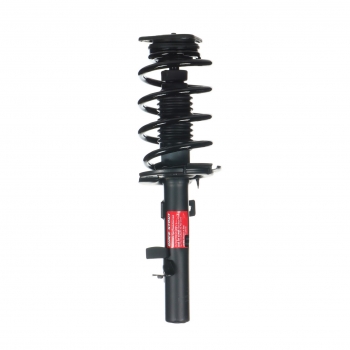 Suspension Strut and Coil Spring Assembly