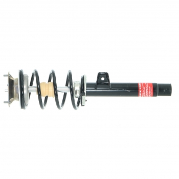 Suspension Strut and Coil Spring Assembly
