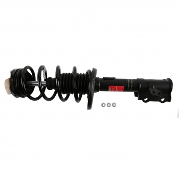 Suspension Strut and Coil Spring Assembly