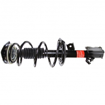 Suspension Strut and Coil Spring Assembly