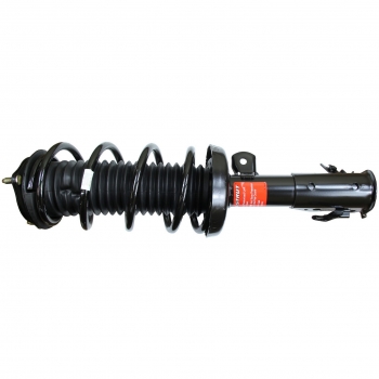 Suspension Strut and Coil Spring Assembly