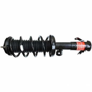 Suspension Strut and Coil Spring Assembly