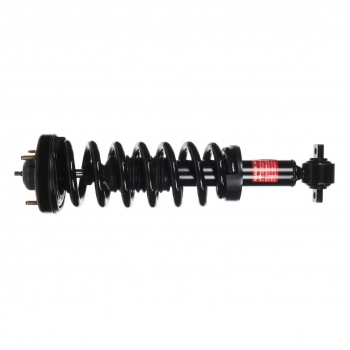 Suspension Strut and Coil Spring Assembly