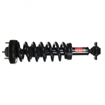 Suspension Strut and Coil Spring Assembly