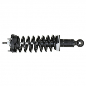 Suspension Strut and Coil Spring Assembly