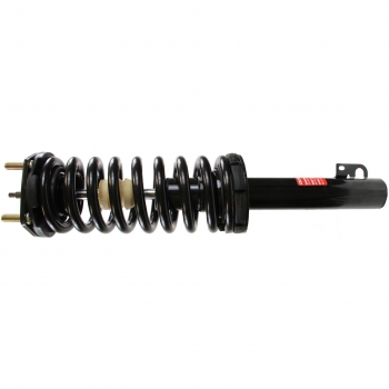 Suspension Strut and Coil Spring Assembly