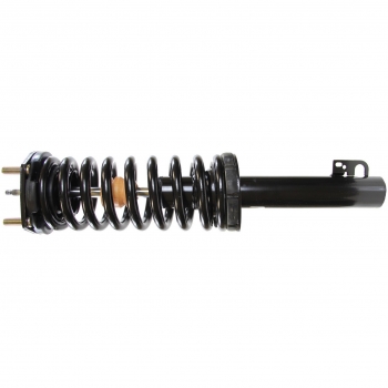 Suspension Strut and Coil Spring Assembly