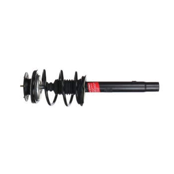 Suspension Strut and Coil Spring Assembly