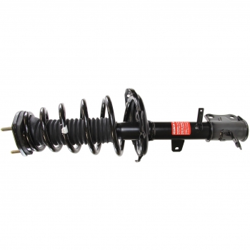 Suspension Strut and Coil Spring Assembly