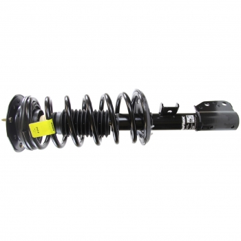 Suspension Strut and Coil Spring Assembly