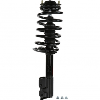 Suspension Strut and Coil Spring Assembly