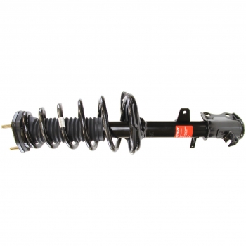 Suspension Strut and Coil Spring Assembly
