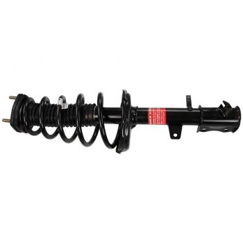 Suspension Strut and Coil Spring Assembly