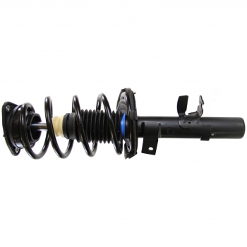 Suspension Strut and Coil Spring Assembly