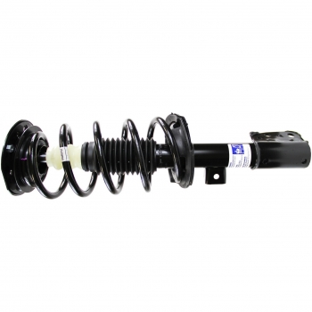 Suspension Strut and Coil Spring Assembly