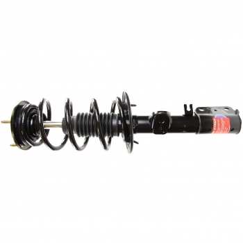 Suspension Strut and Coil Spring Assembly