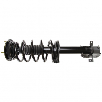 Suspension Strut and Coil Spring Assembly