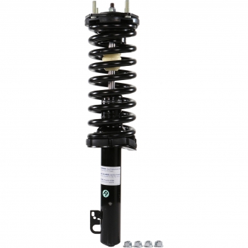 Suspension Strut and Coil Spring Assembly