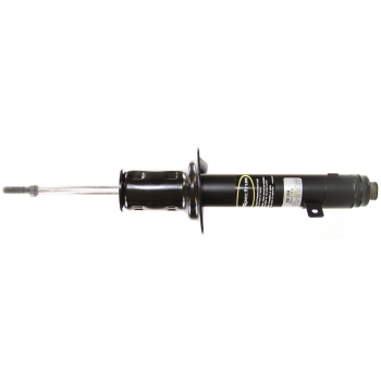 Suspension Strut