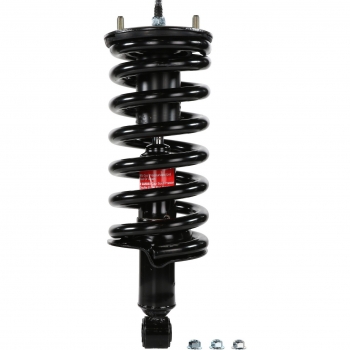 Suspension Strut and Coil Spring Assembly