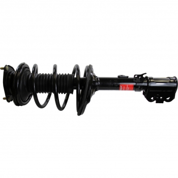 Suspension Strut and Coil Spring Assembly