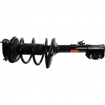 Suspension Strut and Coil Spring Assembly