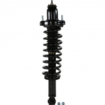 Suspension Strut and Coil Spring Assembly