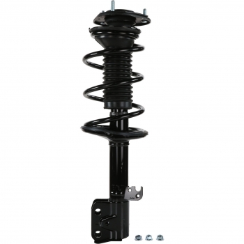 Suspension Strut and Coil Spring Assembly