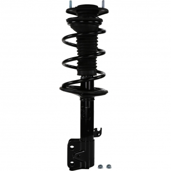 Suspension Strut and Coil Spring Assembly