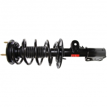 Suspension Strut and Coil Spring Assembly