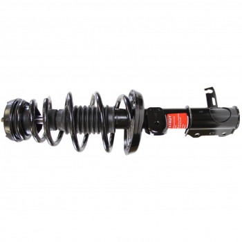Suspension Strut and Coil Spring Assembly