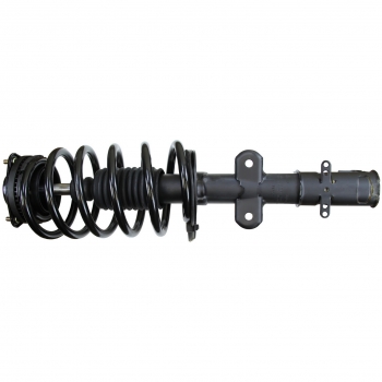 Suspension Strut and Coil Spring Assembly
