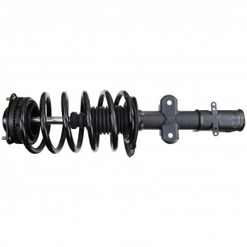 Suspension Strut and Coil Spring Assembly