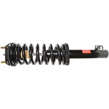 Suspension Strut and Coil Spring Assembly