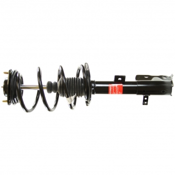 Suspension Strut and Coil Spring Assembly