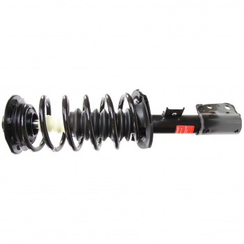 Suspension Strut and Coil Spring Assembly