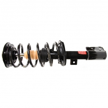 Suspension Strut and Coil Spring Assembly