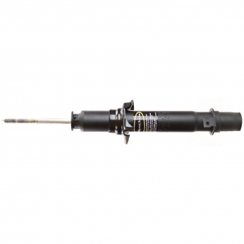 Suspension Strut