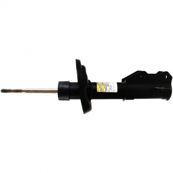 Suspension Strut