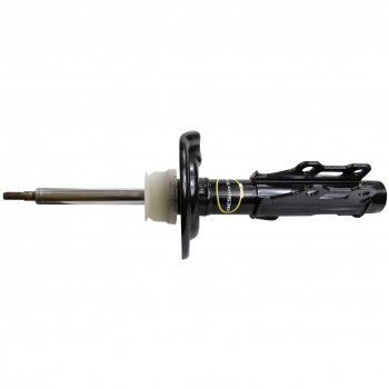Suspension Strut