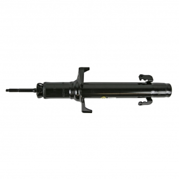 Suspension Strut