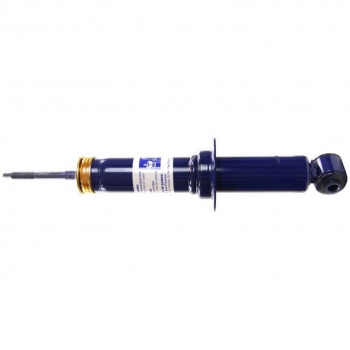 Suspension Strut