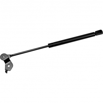 Hood Lift Support