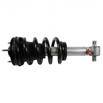 Suspension Strut and Coil Spring Assembly