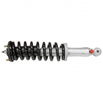 Suspension Strut and Coil Spring Assembly