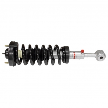 Suspension Strut and Coil Spring Assembly
